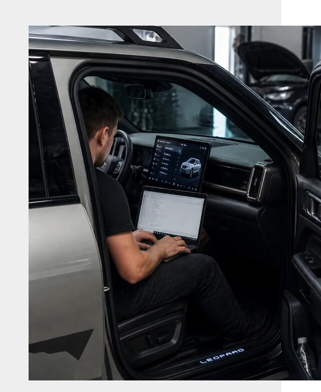 Русификация BYD Leopard 3 в Шахтах по цене от 21597 р. | ФастМобиль-Шхт